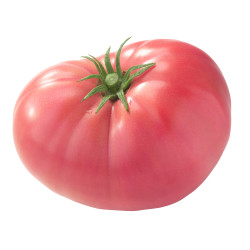 TOMATE ROSA BELLA 5KG